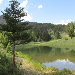 Beaver Pond trail (3)