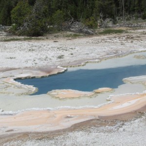 Old faithfull geyser basin (18)