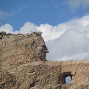 Crazy Horse (7)