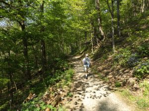 Cumberland Gap Trail (2)