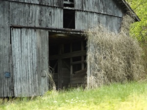 Kentucky barns & farms (10)