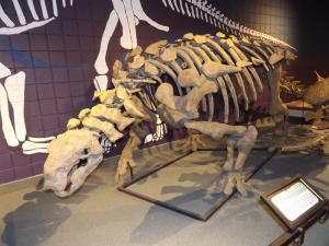 Price dinosaur museum UT (10)