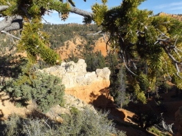 Red Canyon hike UT (4)